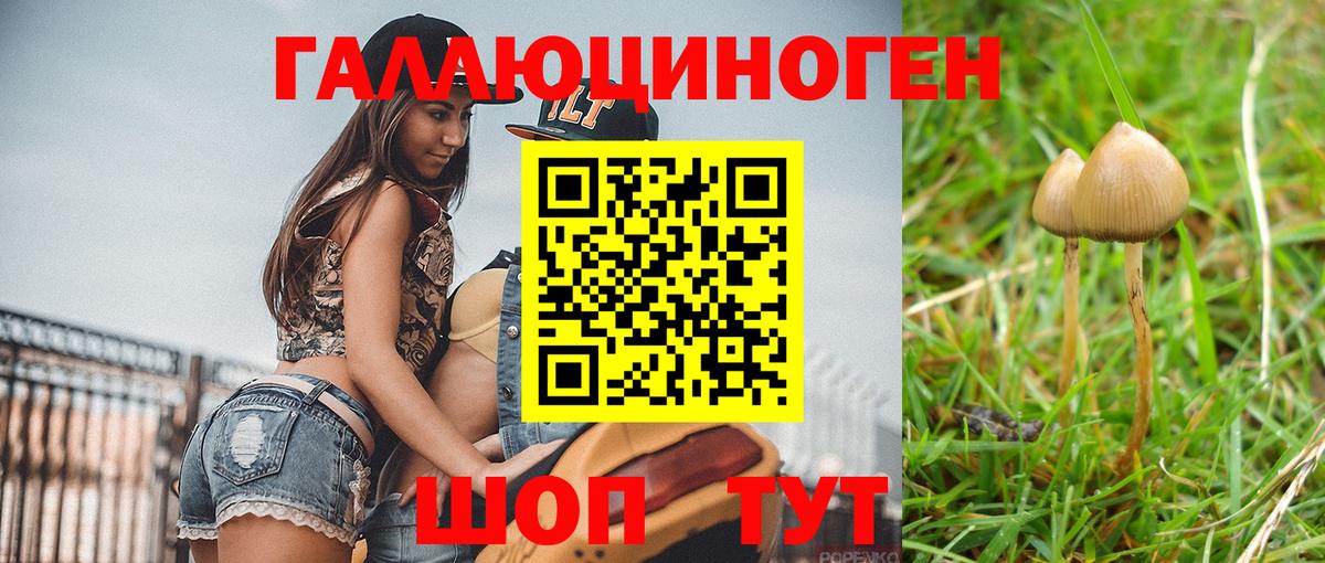 Псилоцибиновые грибы мицелий Ейск